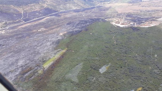 Área afectada por el incendio forestal de Cabra.