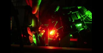 Primera observación de cómo 'beben' agua las plantas en tiempo real