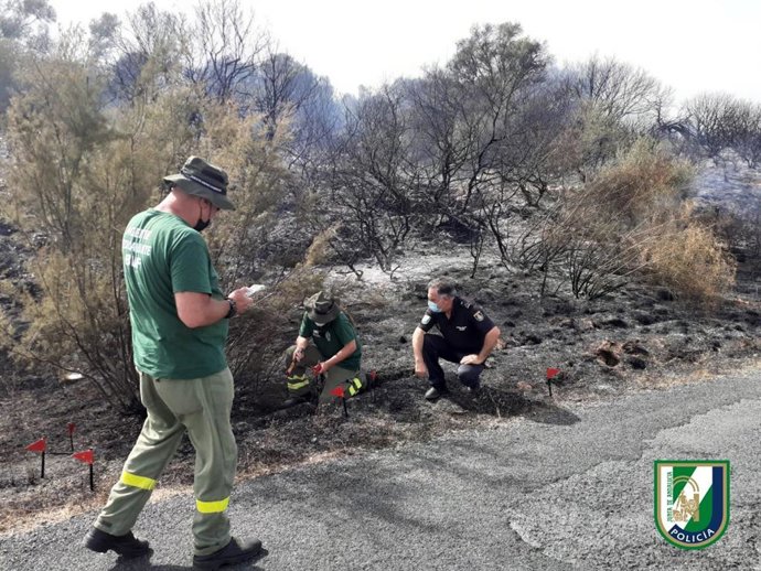 Operarios en uno de los incendios en El Garrobo (Sevilla)
