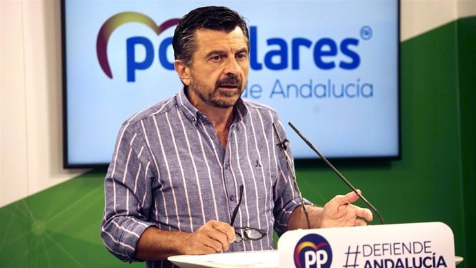 El vicesecretario general del PP-A, Toni Martín, este miércoles en rueda de prensa.