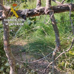 Uso de medios prohibidos de caza