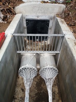 Prueba piloto impulsada por el ayuntamiento de Sant Feliu de Guíxols (Girona) para evitar que las toallitas de un solo uso lleguen a la naturaleza y provoquen daños tanto medioambientales como en los sistemas de saneamiento.