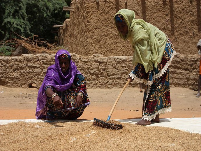 Proyecto de ayuda a pequeños agricultores.