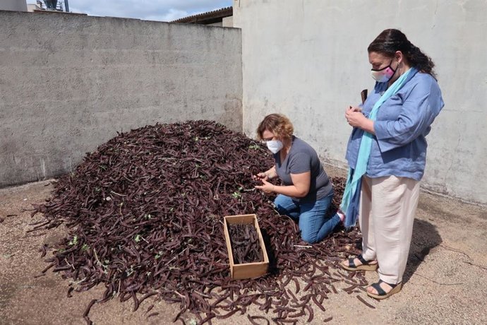 Agricultura mejora el protocolo de prevención de robos en la campaña de la algarroba.