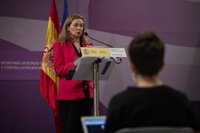 Rosell admite menor compromiso de CCAA como Madrid con la violencia machista, que deja sin gastar un 30% del presupuesto