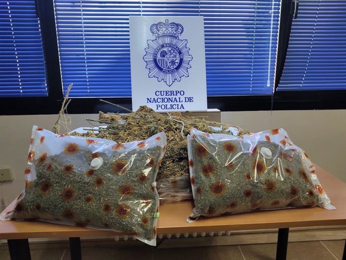 Desmantelado en Cuenca un laboratorio de 300 metros cuadrados destinado a la producción intesiva de cannabis