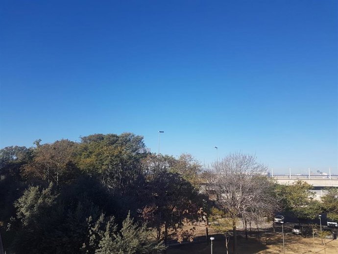 Archivo - Jornada soleada en Murcia