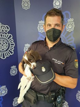 La nueva perra policía 'Sisu' con su guía Alberto.