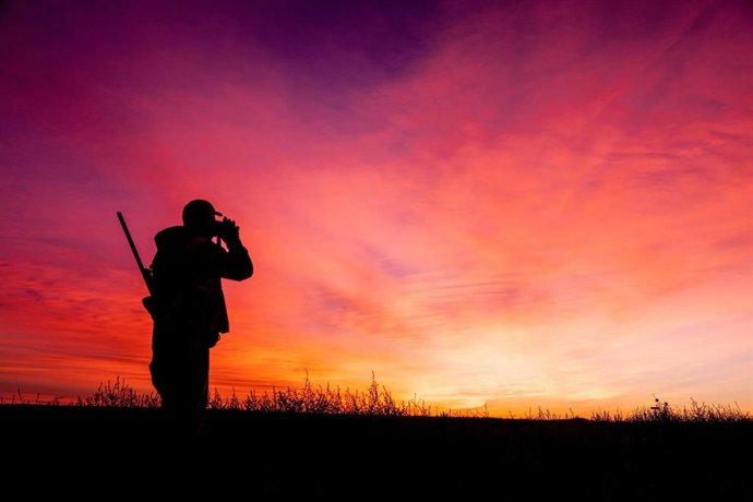 Archivo - Cazador, caza.