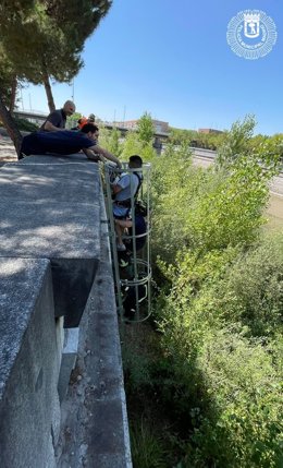 Los agentes localizaron al perro en el puente de Andorra