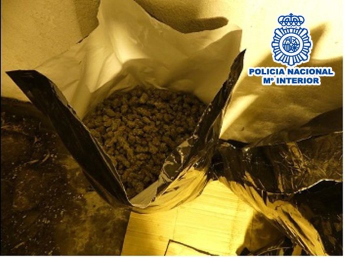 Marihuana incautada en Esparraguera (Barcelona)