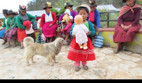 Cooperación y Desarrollo