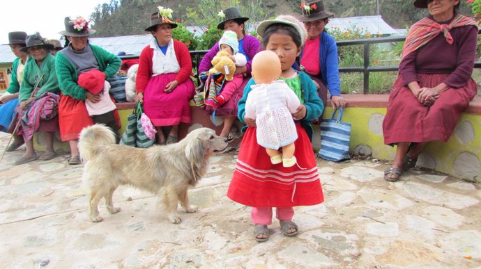 Madre Coraje envía más de 12.000 kilos de material sanitario para combatir la Covid-19 en Perú