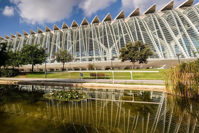 Archivo - Museu de les Cincies de Valncia