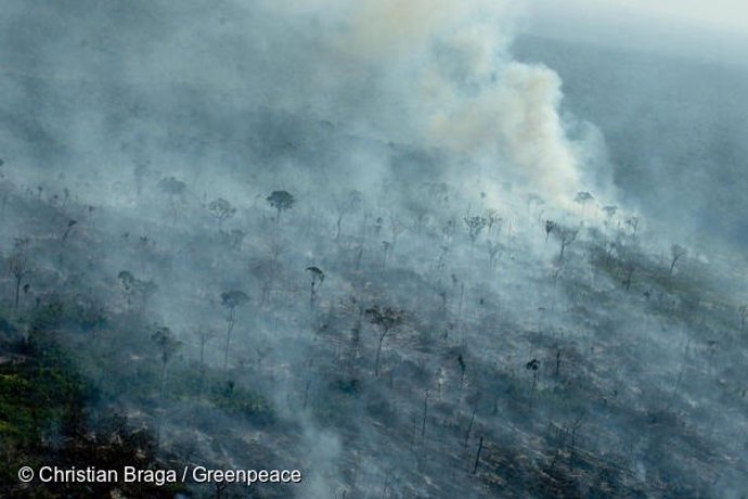 Punts cremats en una rea recentment desforestada, registrats per Deter 2021 i Prodes 2019, a Apuí, estat d'Amazones.