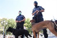 Las fiestas de San Cayetano animan a disfrutar del ocio seguro gracias a un dispositivo valorado por los asistentes