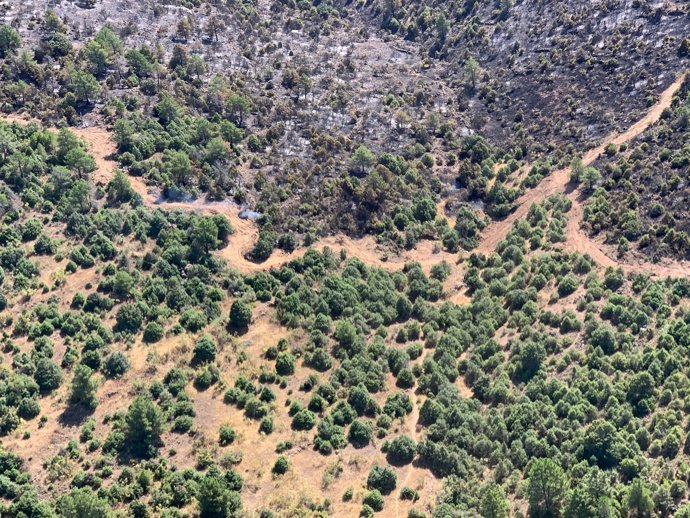 Pequeña reproducción del fuego en El Tiemblo.