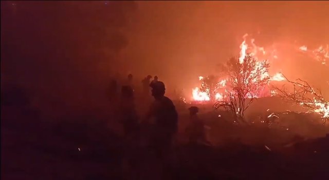 Imágenes de las labores de extinción de la UME en el incendio en Ávila