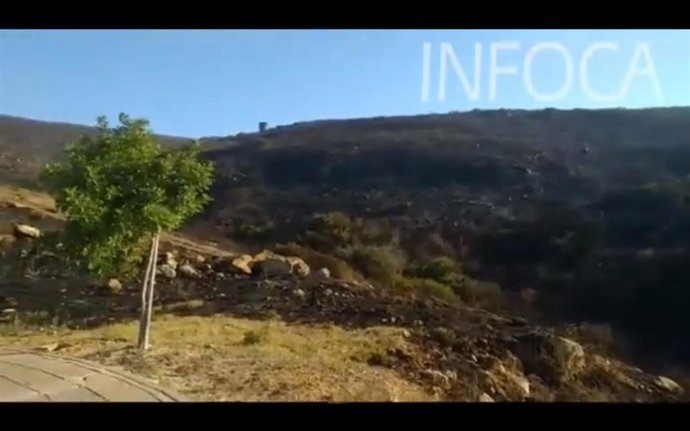 Incendio de La Línea.