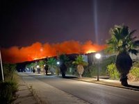 Detenido en San Roque (Cádiz) el presunto autor del incendio forestal de La Línea de la Concepción