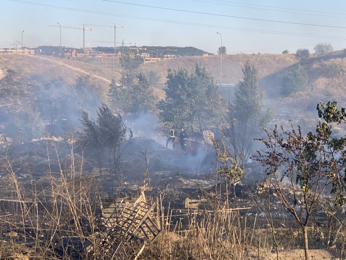 Incendio en pastos próximos a la Cañada Real