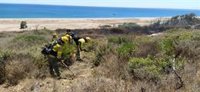 Extinguido el incendio de La Línea de la Concepción (Cádiz) tras calcinar casi 150 hectáreas