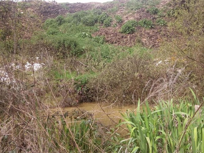 Archivo - Laguna de Purines.