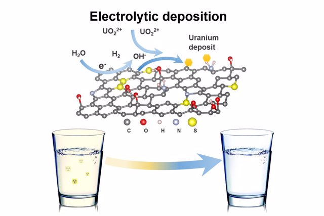 Se utiliza una espuma de óxido de grafeno reducido funcionalizada en 3D (3D-FrGOF) reutilizable como electrodo de deposición electrolítica in situ para extraer uranio del agua contaminada.