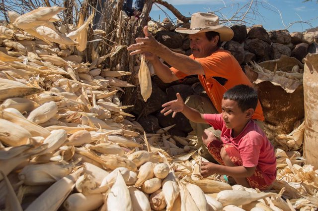 Archivo - Un agricultor y su hijo en Honduras