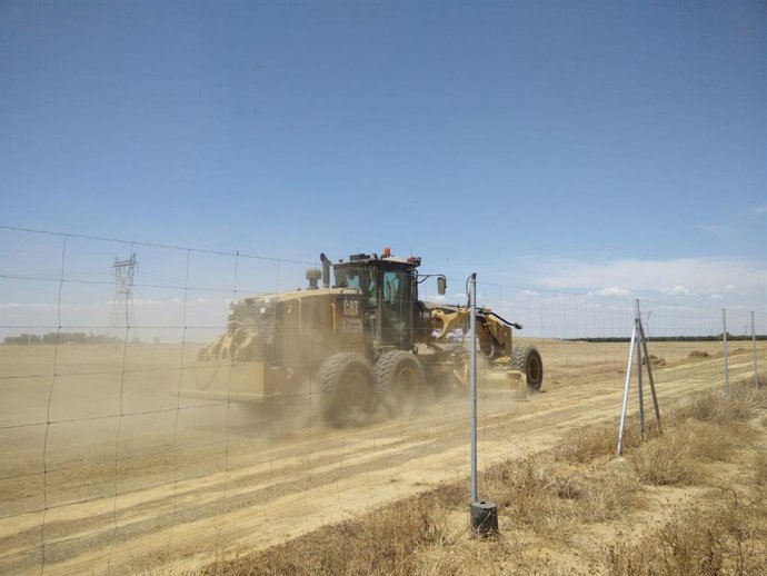 Obras en la planta fotovoltaica de Endesa ubicada en el municipio de sevillano de Torrepalma.