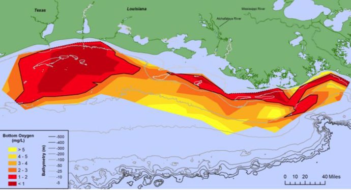 Mapa de la zona de hipoxia medida del Golfo, del 25 al 31 de julio de 2021