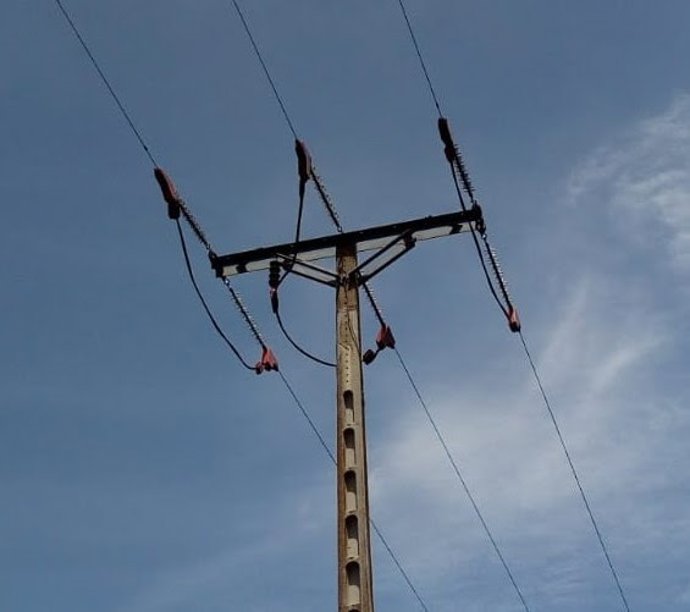 Endesa adecua una línea eléctrica en el Baix Empord (Girona) para proteger la avifauna.