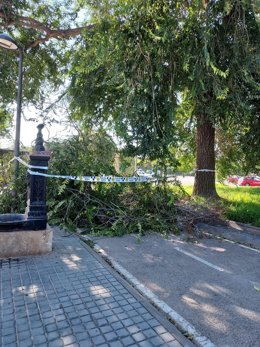 Imagen del barrio de Malilla (Valencia)