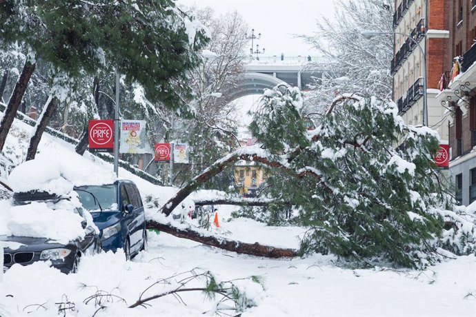 Archivo - Un vehículo aplastado por un árbol durante la gran nevada provocada por la borrasca Filomena,  en Madrid (España), a 9 de enero de 2021. La borrasca 'Filomena' ha provocado una intensa nevada en la Comunidad de Madrid, principalmente en la c