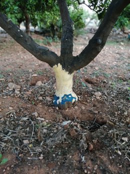 Daños producidos por conejos