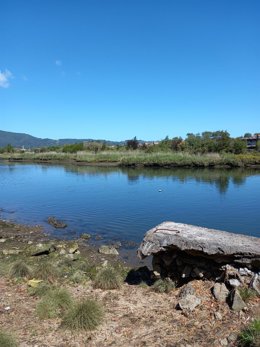 Imagen del río Bidasoa