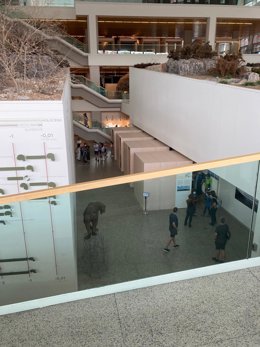 Archivo - Interior del Museo de la Evolución Humana.