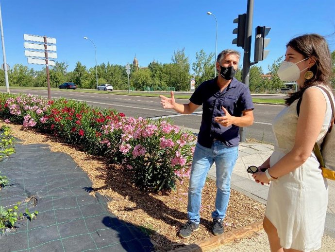 ZOna de la Vía Helmántica donde se ha recuperado una zona ajardinada.