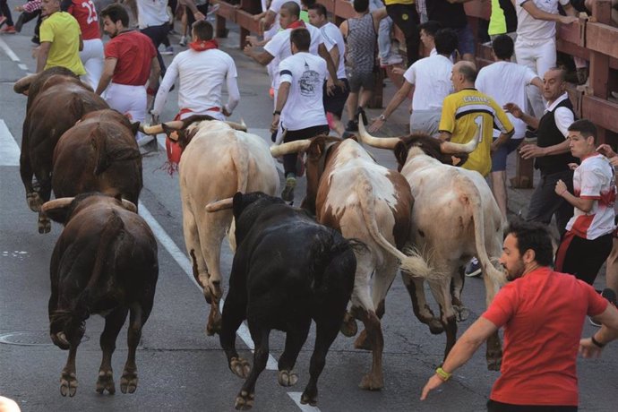 Archivo - Imagen del cuarto encierro de las fiestas de San Sebastián de los Reyes de 2019.