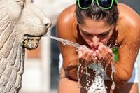 ¿Cómo hacer frente a la próxima ola de calor?