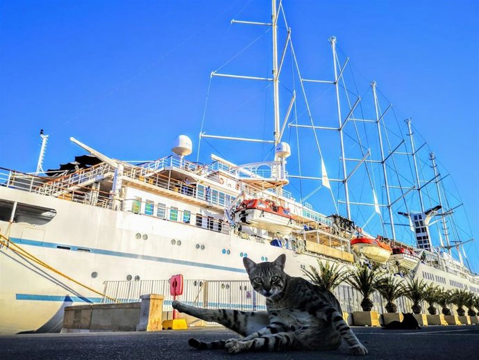 El crucero 'Wind surf' atracado en el Puerto de Almería.