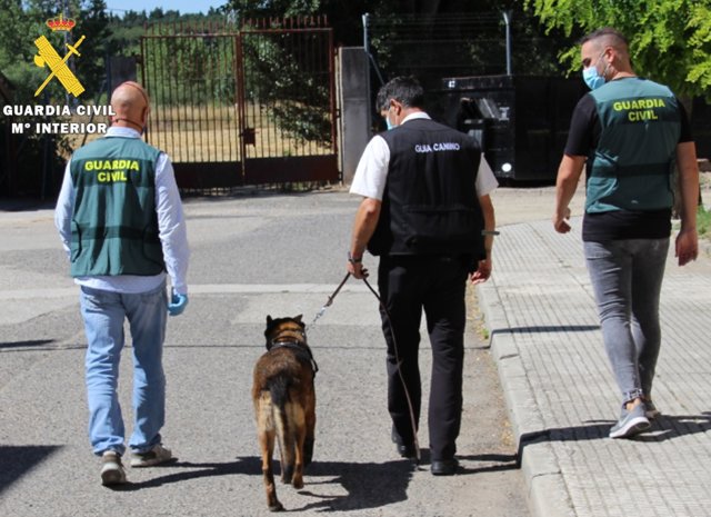 Agentes que han participado en la operación 'Troppo'.
