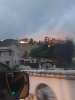 Incendio forestal en Caniles