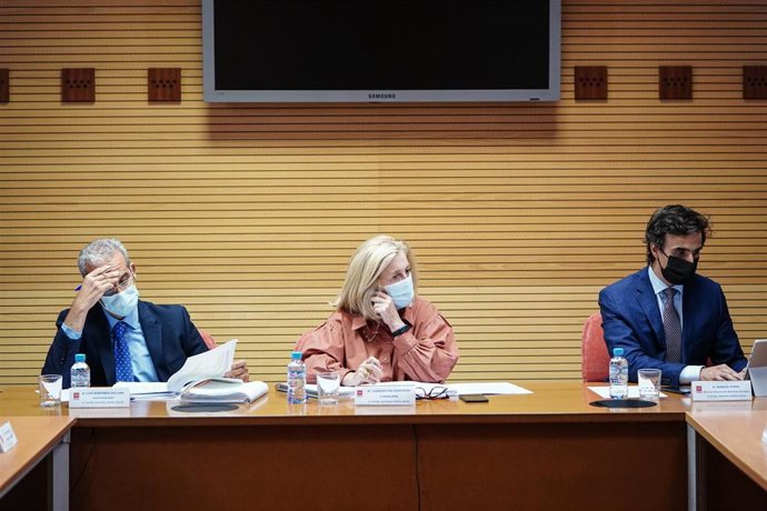 La consejera de Familia, Juventud y Política Social de la Comunidad de Madrid, Concepción Dancausa.