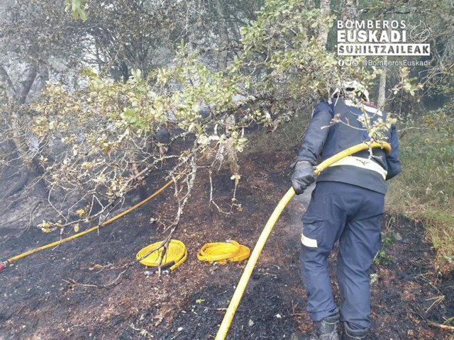 Archivo - Un bombero trabaja en un incendio forestal en Álava