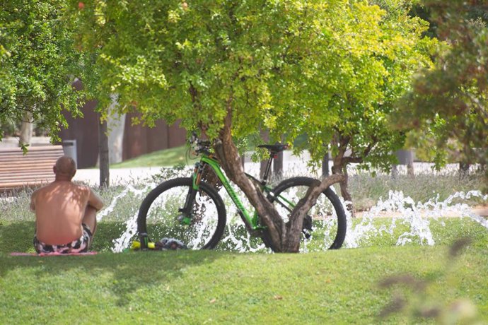 Archivo - Una persona sin camiseta descansa en un parque con su bicicleta en un día soleado.
