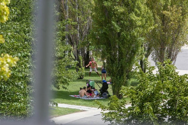 Varias personas hacen picnic en el parque de Madrid Río, a 11 de agosto de 2021, en Madrid (España). La primera ola de calor del verano deja temperaturas muy altas en España desde este miércoles y hasta comienzos de la próxima semana. Las temperaturas alc