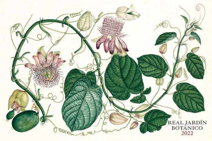 RJB publica su calendario 2022 centrado en las pasifloras
