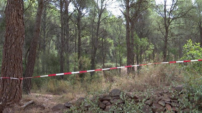 Imagen de la Serra Calderona