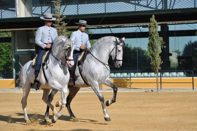Yeguada Cartuja Hierro del Bocado.